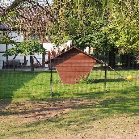Gut Dankerode Dankerode (Hessen) Exterior foto