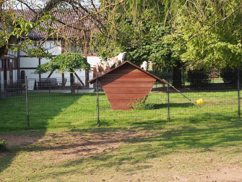 Gut Dankerode Dankerode (Hessen) Exterior foto